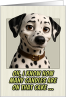 Dalmatian Dog Humorous Getting Older Birthday card