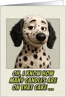 Dalmadoodle Dog Humorous Getting Older Birthday card
