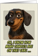 Wire Haired Dachshund Dog Humorous Getting Older Birthday card