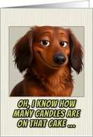 Long Haired Dachshund Dog Humorous Getting Older Birthday card