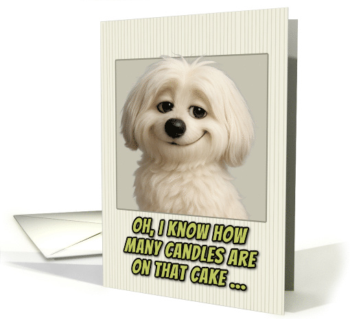 Coton de Tulear Dog Humorous Getting Older Birthday card (1947370)
