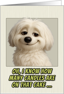 Coton de Tulear Dog Humorous Getting Older Birthday card