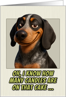 Coonhound Dog Humorous Getting Older Birthday card
