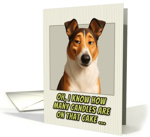 Smooth Collie Dog Humorous Getting Older Birthday card (1947374)