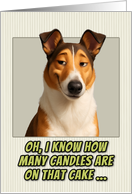 Smooth Collie Dog Humorous Getting Older Birthday card