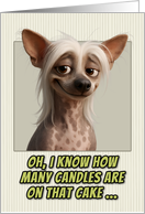 Chinese Crested Dog Humorous Getting Older Birthday card