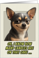 Chihuahua Dog Humorous Getting Older Birthday card