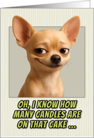 Chihuahua Dog Humorous Getting Older Birthday card