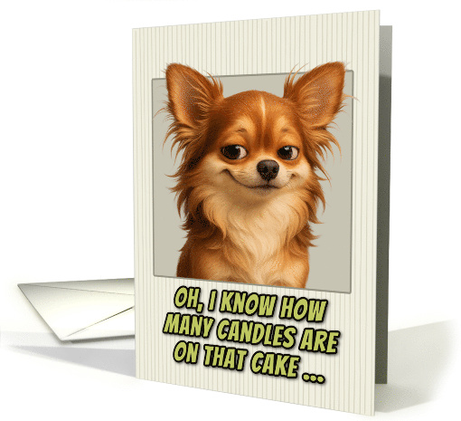 Long Haired Chihuahua Dog Humorous Getting Older Birthday card