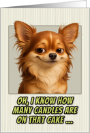 Long Haired Chihuahua Dog Humorous Getting Older Birthday card