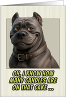 Cane Corso Dog Humorous Getting Older Birthday card