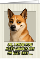 Canaan Dog Humorous Getting Older Birthday card