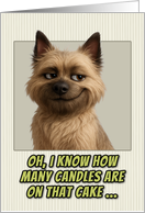Cairn Terrier Dog Humorous Getting Older Birthday card