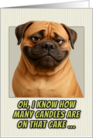 Bullmastiff Dog Humorous Getting Older Birthday card