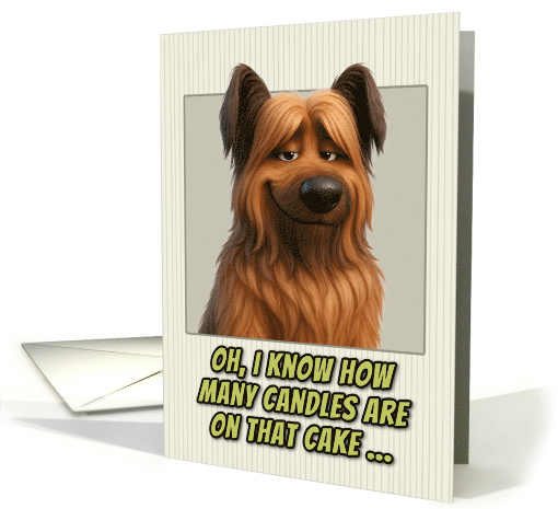 Briard Dog Humorous Getting Older Birthday card (1948012)