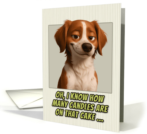 Brittany Spaniel Dog Humorous Getting Older Birthday card (1948014)