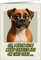 Boxer Dog Humorous Getting Older Birthday card