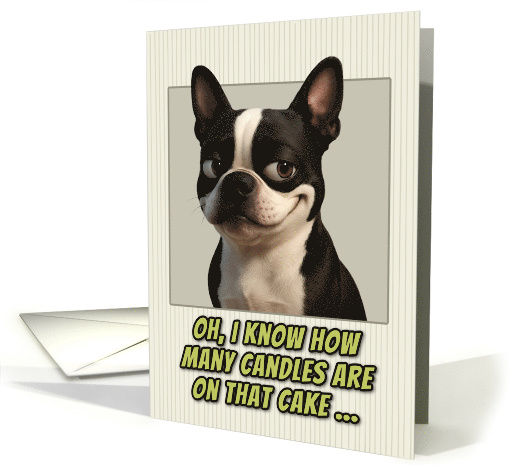 Boston Terrier Dog Humorous Getting Older Birthday card (1948130)