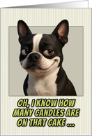 Boston Terrier Dog Humorous Getting Older Birthday card