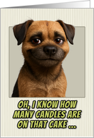 Border Terrier Dog Humorous Getting Older Birthday card