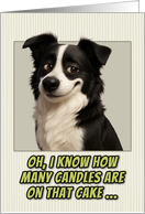 Border Collie Dog Humorous Getting Older Birthday card