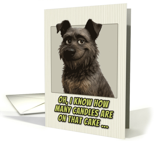 Bouvier des Ardennes Dog Humorous Getting Older Birthday card