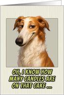 Borzoi Dog Humorous Getting Older Birthday card