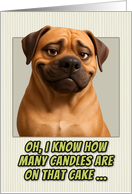 Boerboel Dog Humorous Getting Older Birthday card