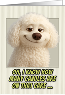 Bolognese Dog Humorous Getting Older Birthday card