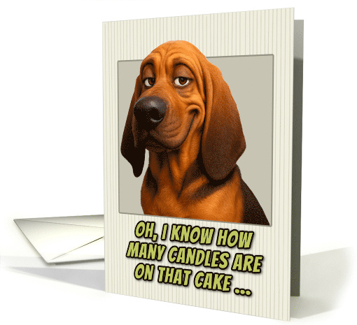 Bloodhound Dog Humorous Getting Older Birthday card (1948146)