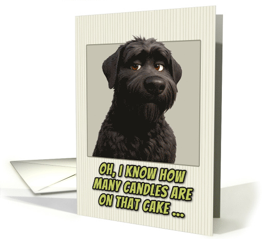 Black Russian Terrier Dog Humorous Getting Older Birthday card