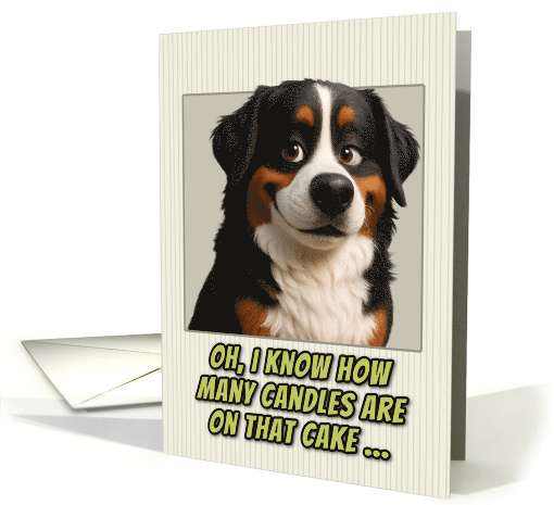 Bernese Mountain Dog Humorous Getting Older Birthday card (1948152)