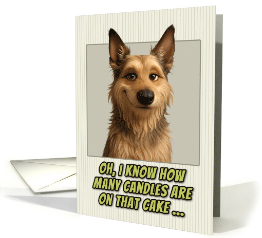 Berger Picard Dog Humorous Getting Older Birthday card (1948154)