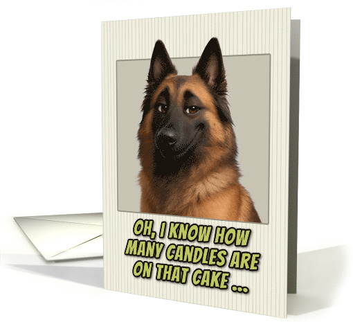 Belgian Shepherd Dog Humorous Getting Older Birthday card (1948158)