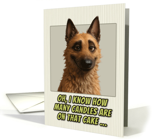 Belgian Laekenois Dog Humorous Getting Older Birthday card (1948160)