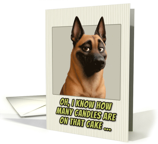 Belgian Malinois Dog Humorous Getting Older Birthday card (1948162)