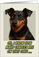 Beauceron Dog Humorous Getting Older Birthday card