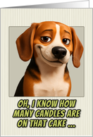 Beagle Dog Humorous Getting Older Birthday card