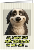 Bearded Collie Dog Humorous Getting Older Birthday card