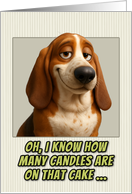 Basset Hound Dog Humorous Getting Older Birthday card