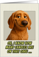 Basset Fauve de Bretagne Dog Humorous Getting Older Birthday card