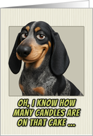Basset Bleu de Gascogne Dog Humorous Getting Older Birthday card