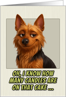 Australian Terrier Dog Humorous Getting Older Birthday card