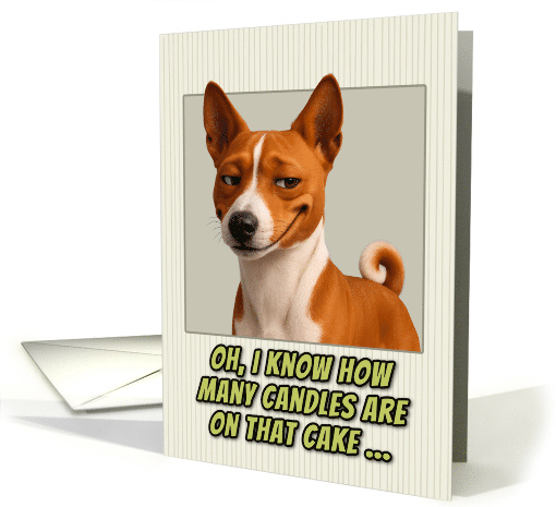 Basenji Dog Humorous Getting Older Birthday card (1948646)
