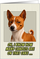 Basenji Dog Humorous Getting Older Birthday card