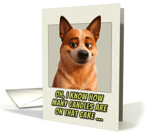 Australian Red Heeler Dog Humorous Getting Older Birthday card