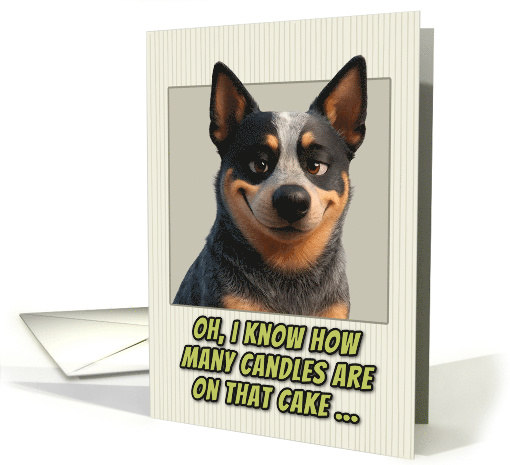 Australian Cattle Dog Humorous Getting Older Birthday card (1948650)