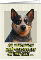 Australian Cattle Dog Humorous Getting Older Birthday card
