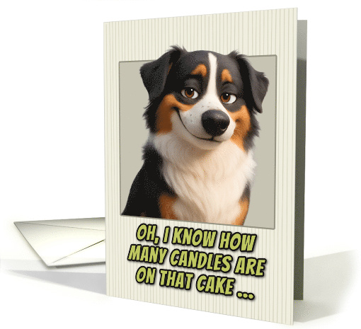 Australian Shepherd Dog Humorous Getting Older Birthday card (1948652)