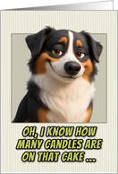 Australian Shepherd Dog Humorous Getting Older Birthday card